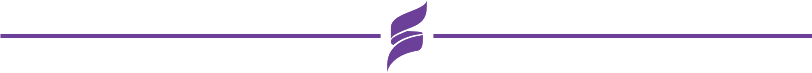 Safeology Logo7 purple