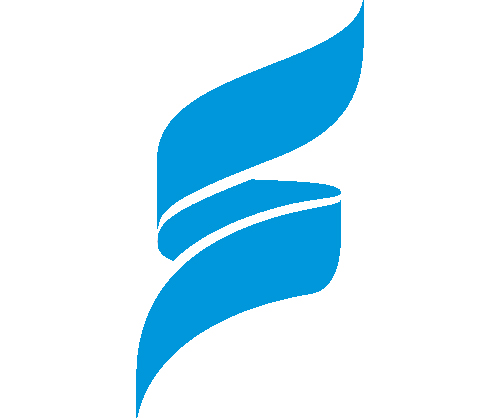 Safeology Logo Character